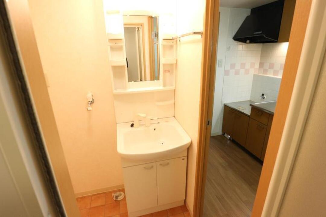 シャンプードレッサー