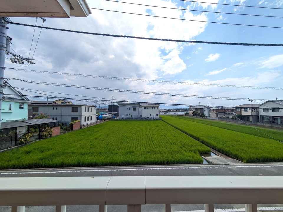背景