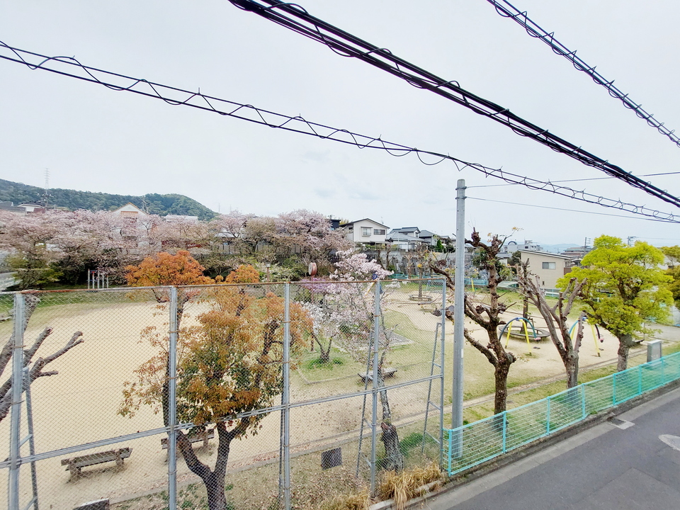 背景