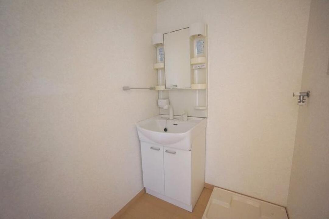 シャンプードレッサー