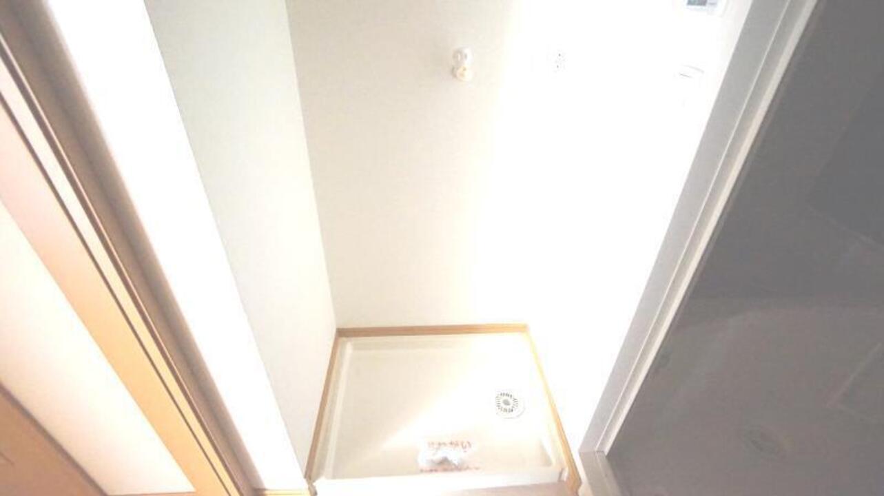 棚
