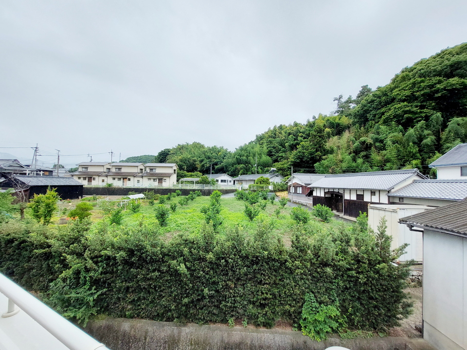 背景