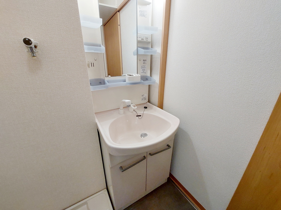 シャワー付洗面化粧台
