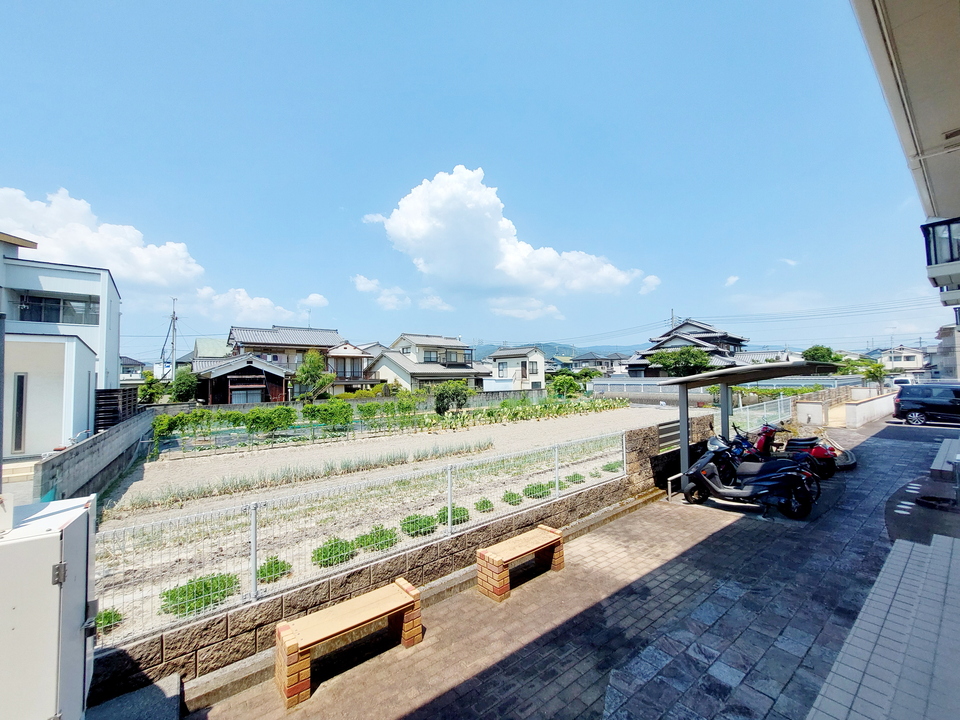 背景