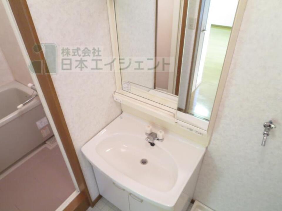 シャンプードレッサー