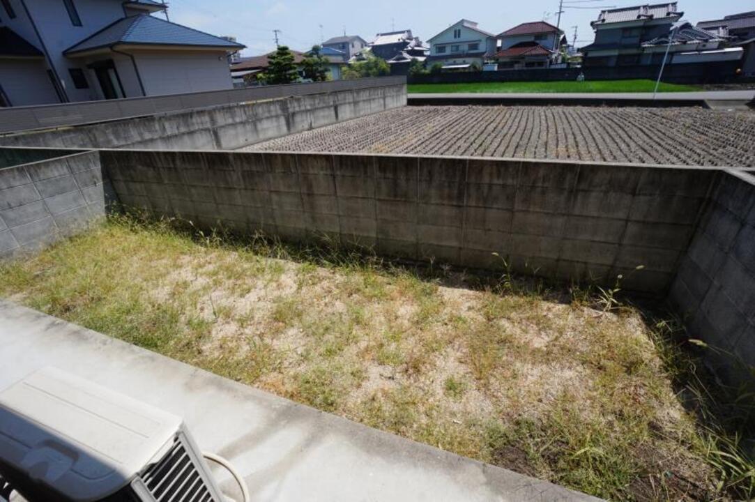 庭