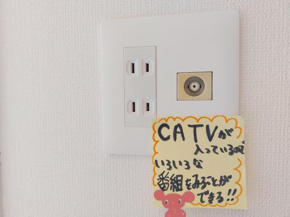 CATV
