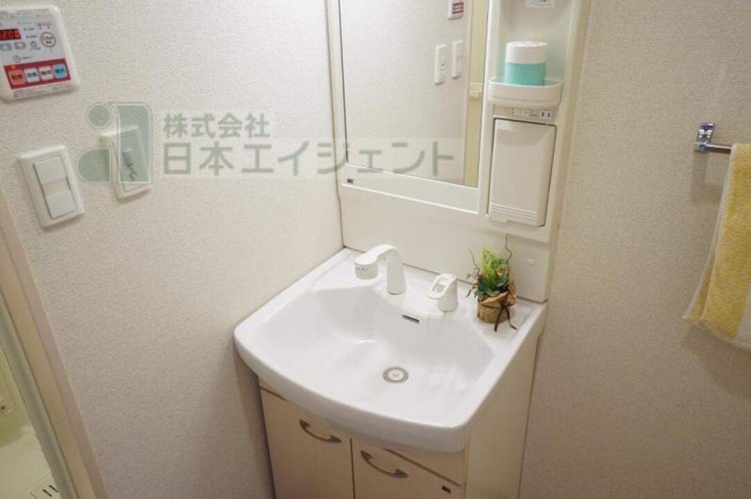 シャンプードレッサー