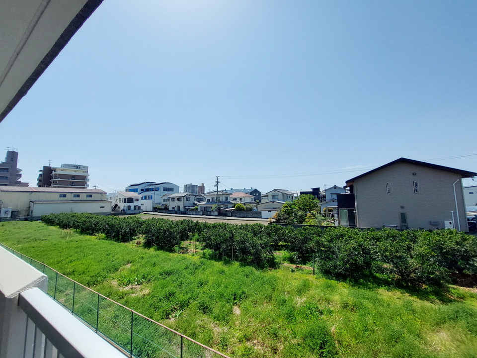 背景