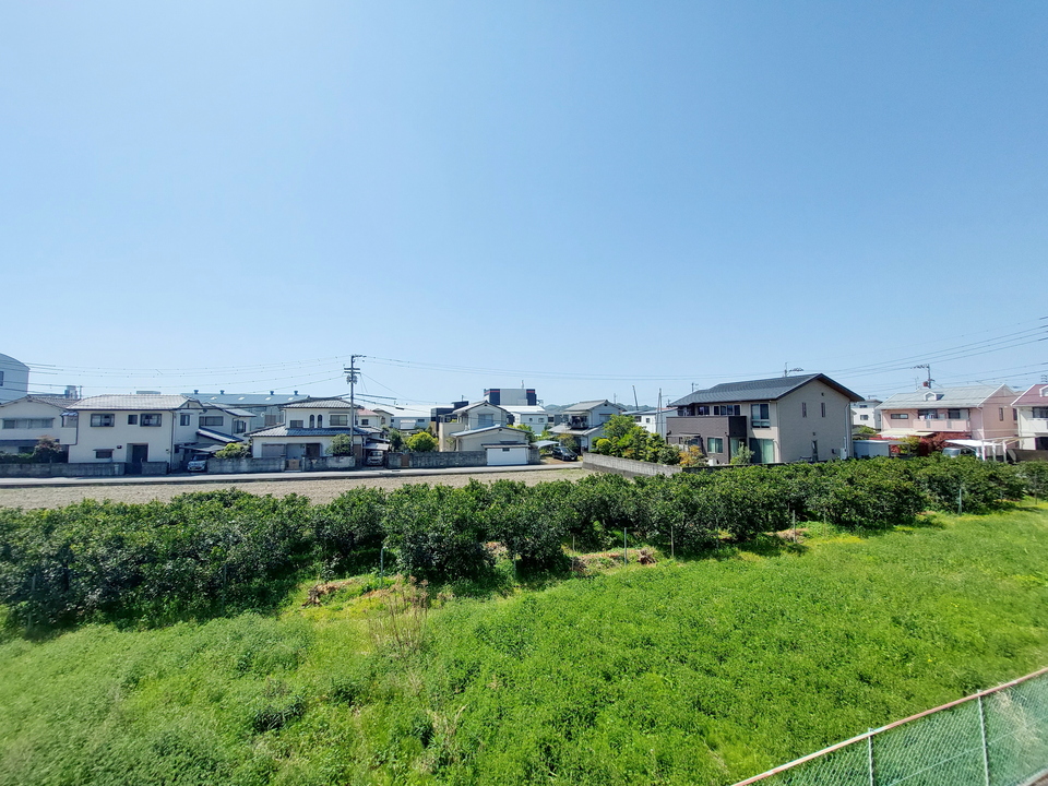 背景