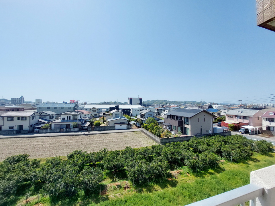 背景