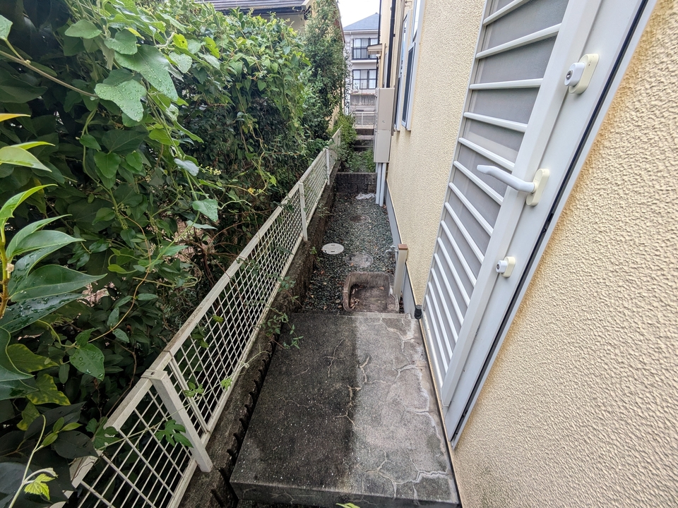 庭