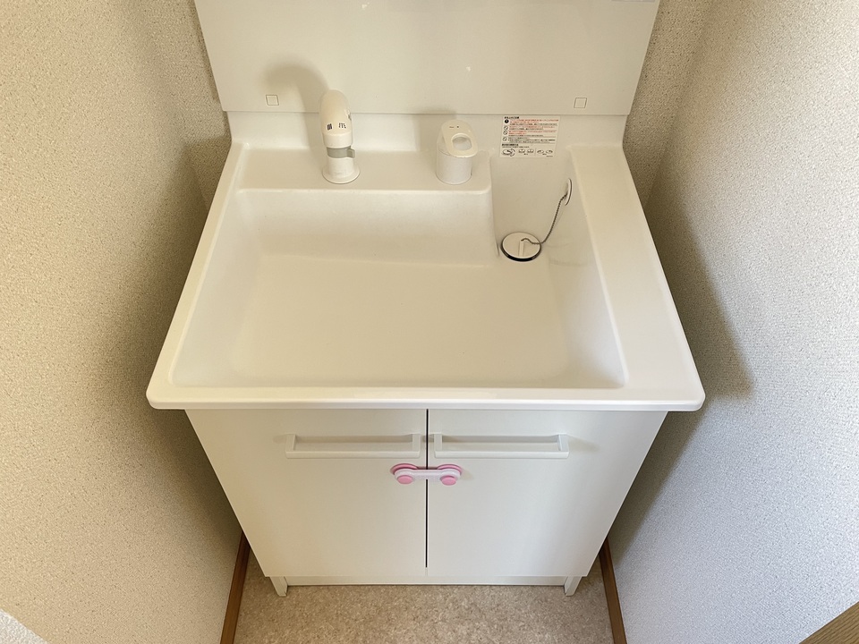 シャンプードレッサー