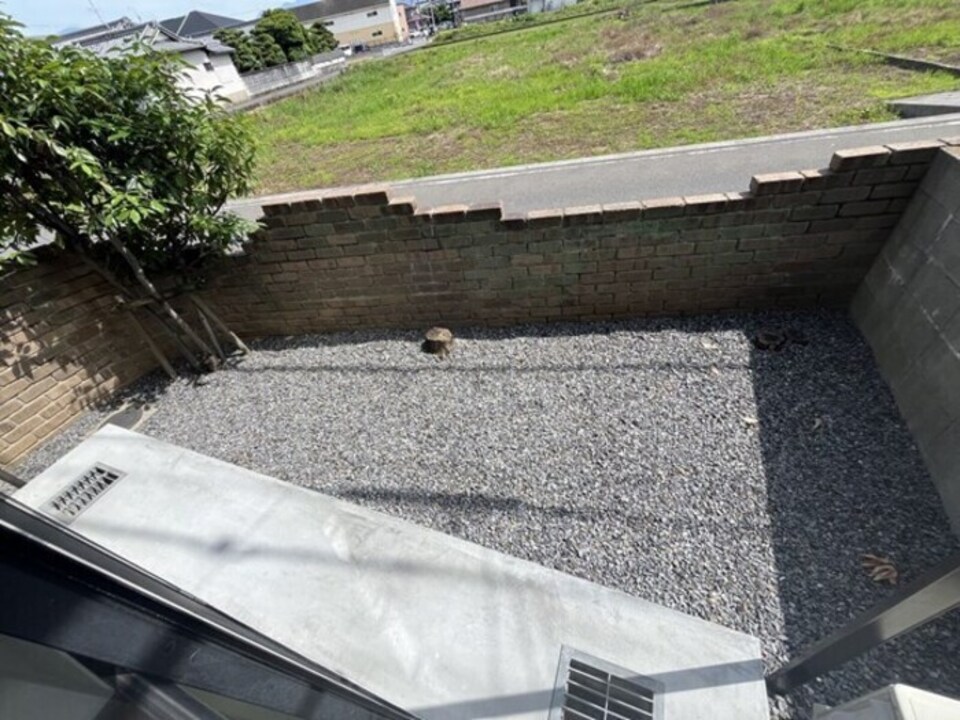 庭