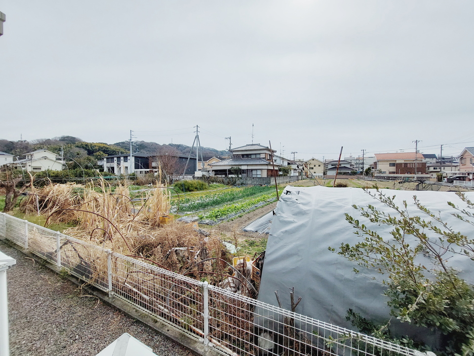 背景