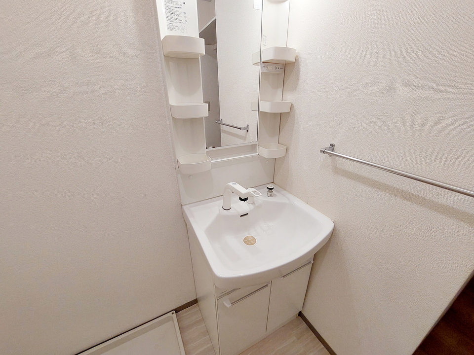 シャンプードレッサー