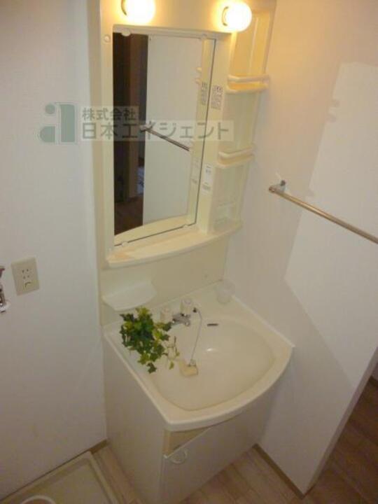 シャンプードレッサー