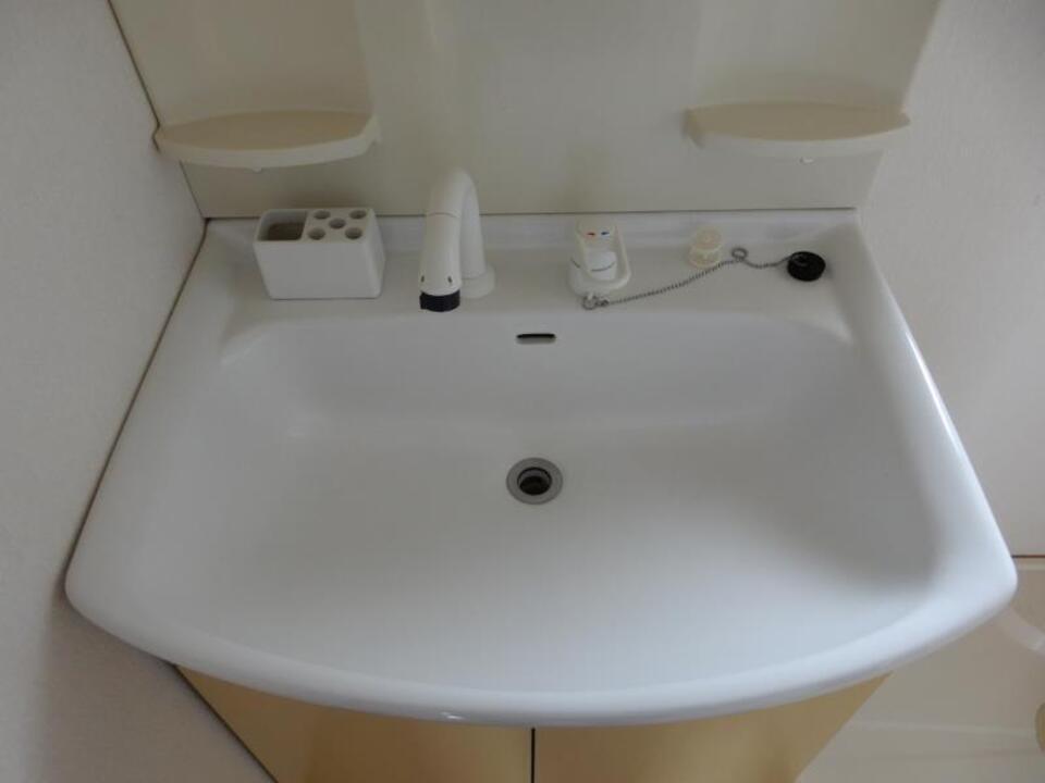 シャンプードレッサー