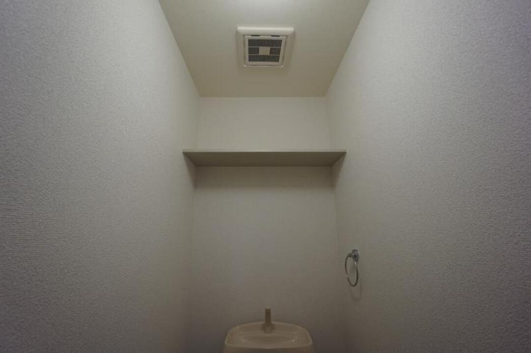 棚