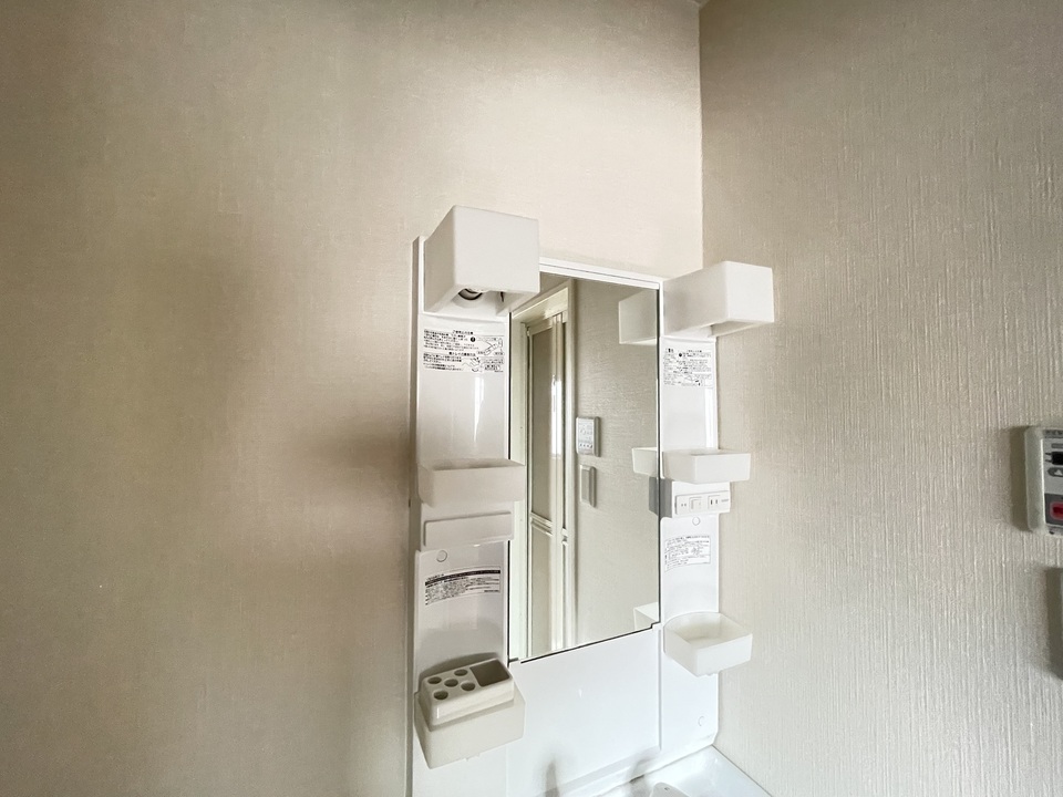 シャンプードレッサー