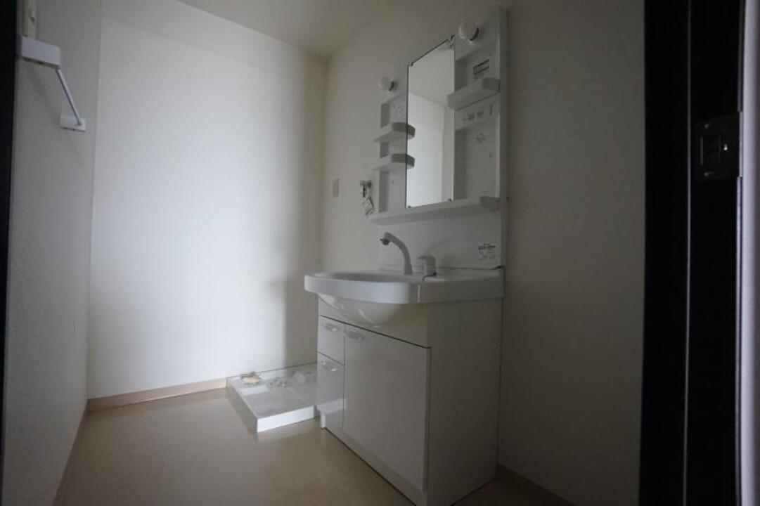 シャンプードレッサー