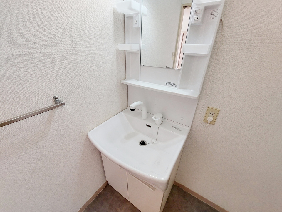 シャンプードレッサー