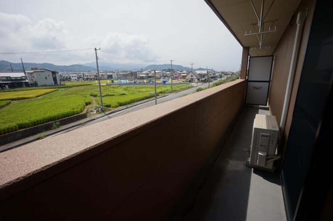 シャンプードレッサー