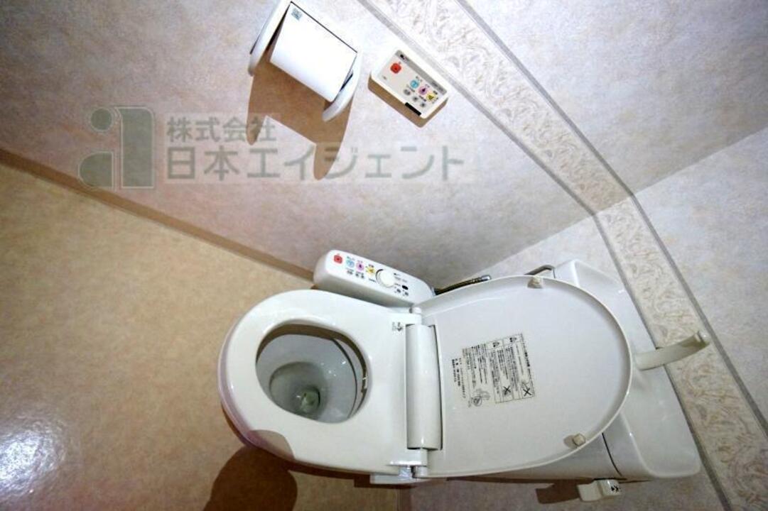 棚