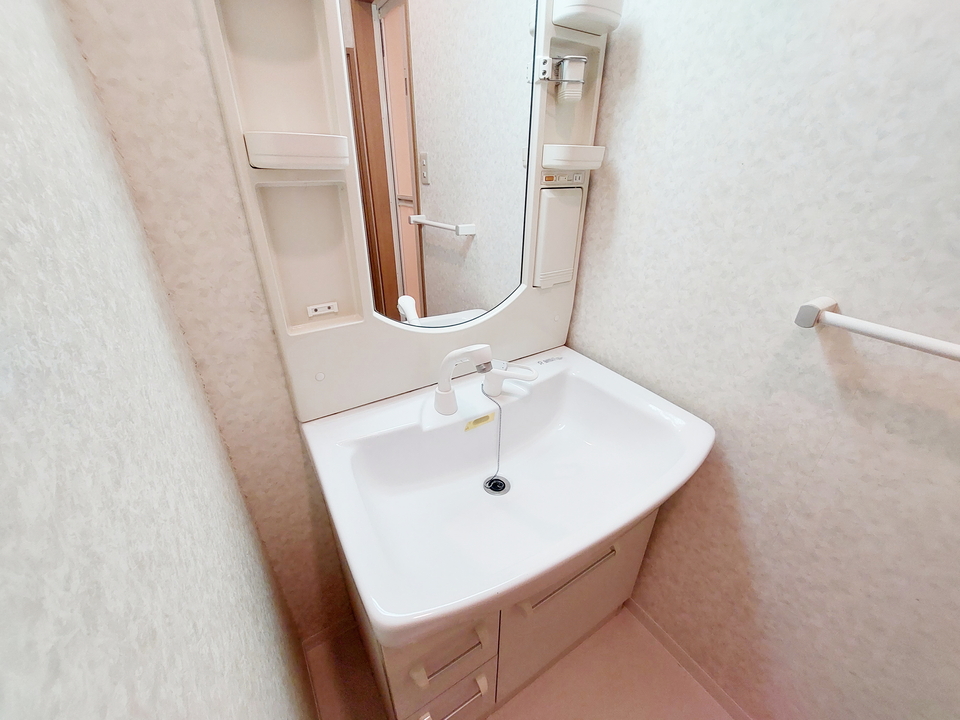 シャンプードレッサー