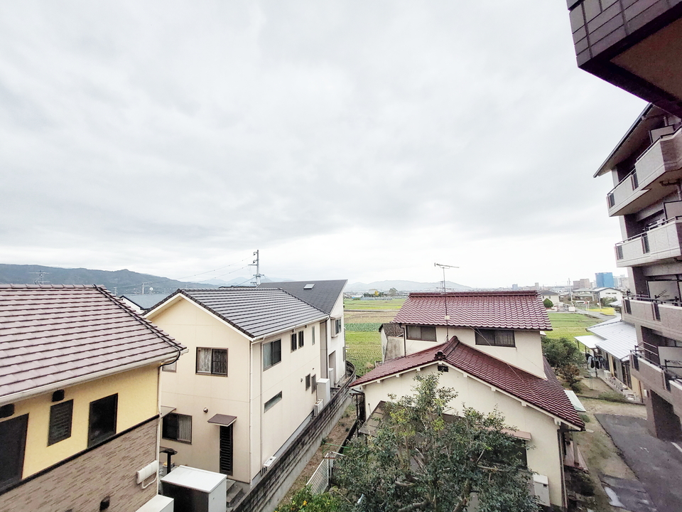 背景