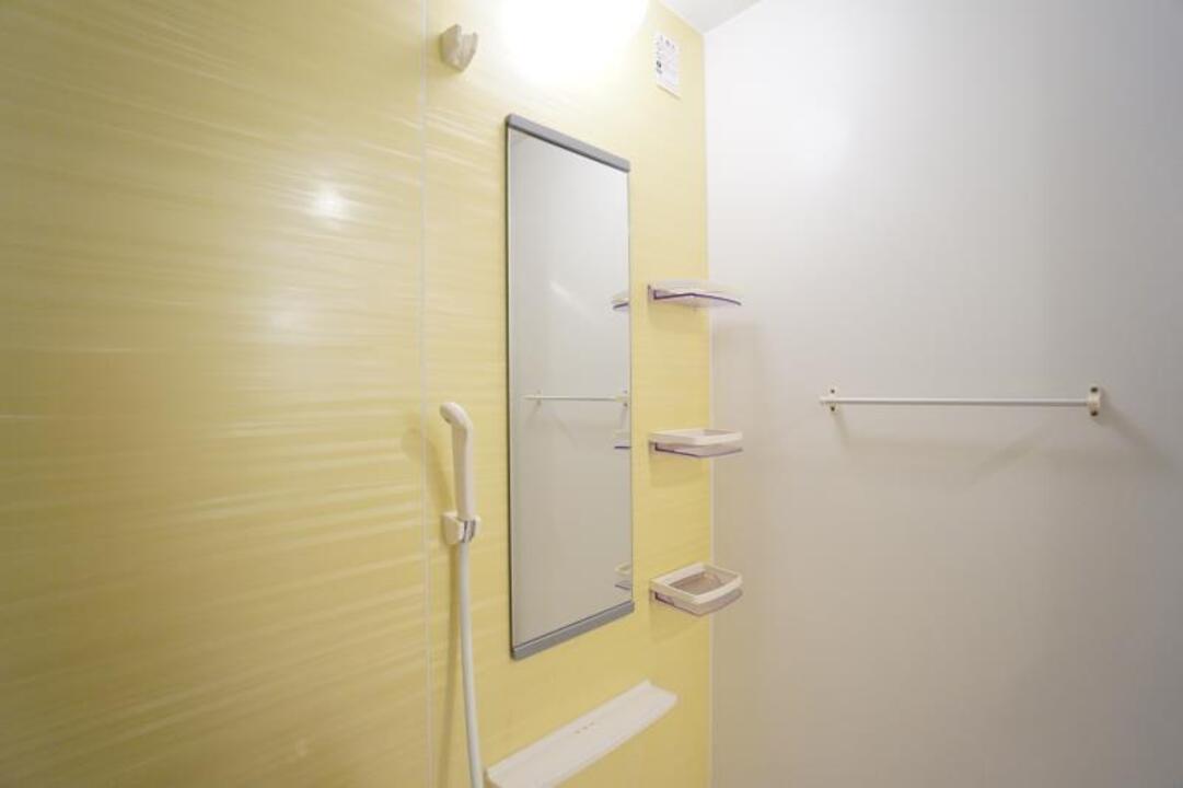 シャンプードレッサー