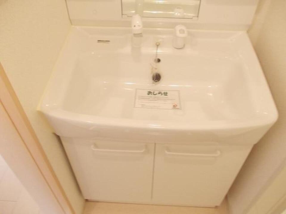 シャンプードレッサー