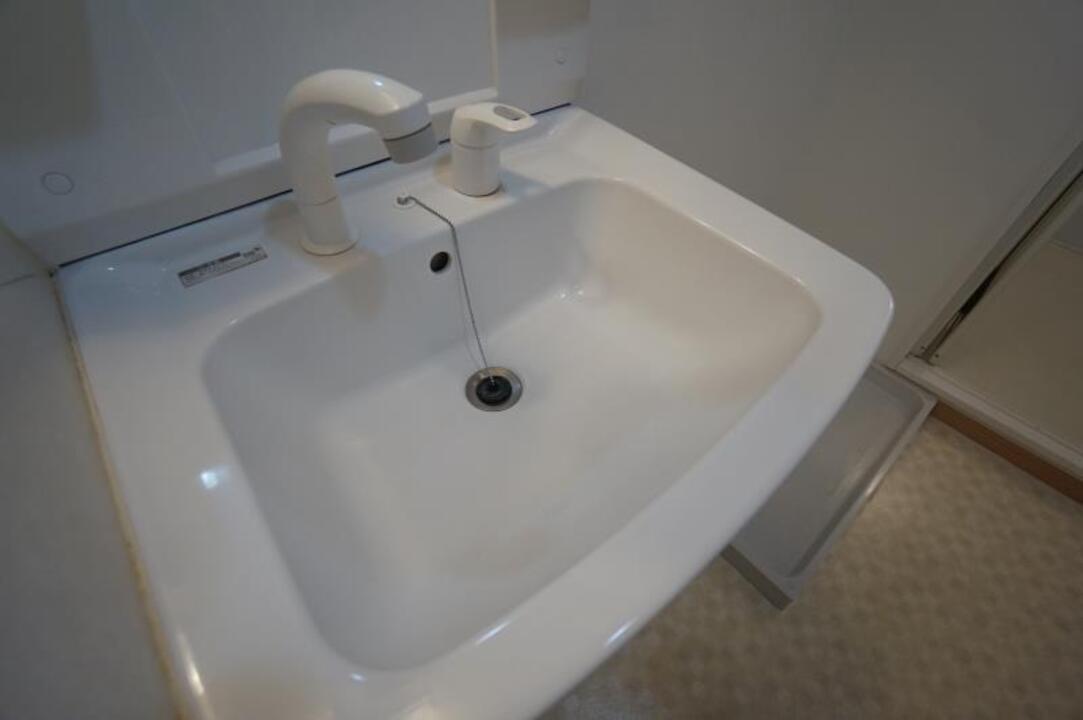 シャンプードレッサー