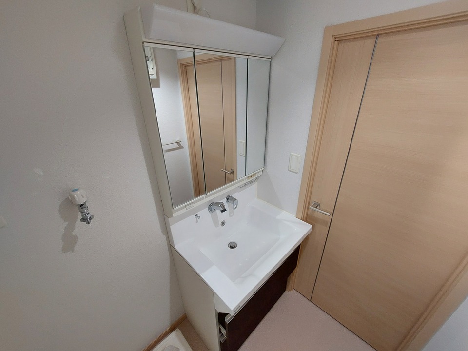 シャワー付洗面化粧台