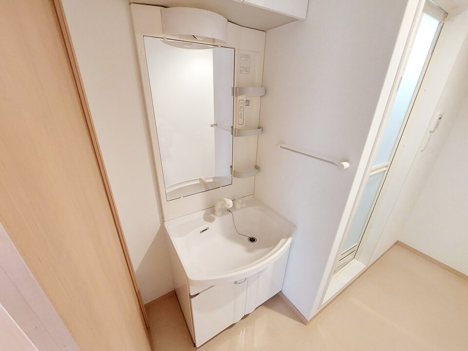シャンプードレッサー