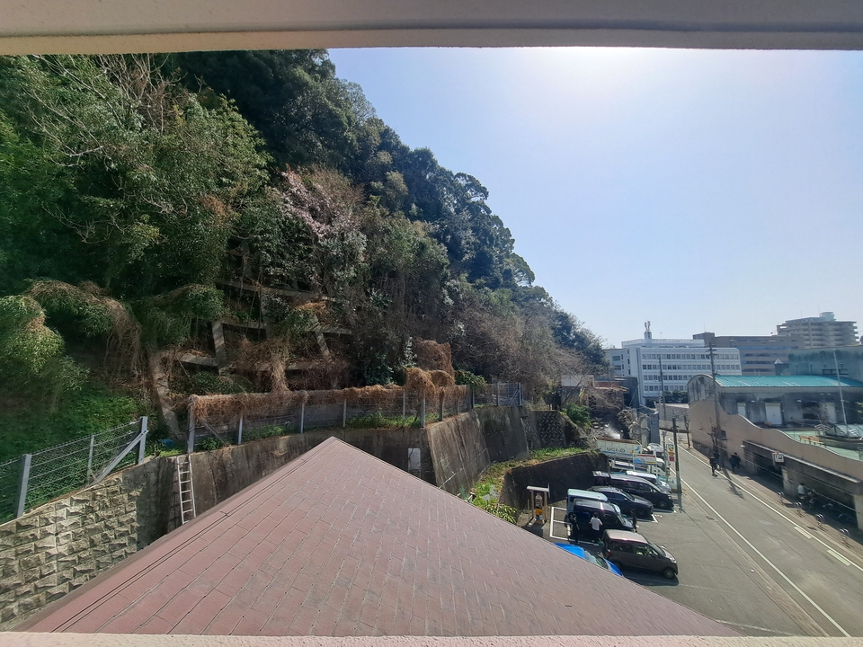 背景