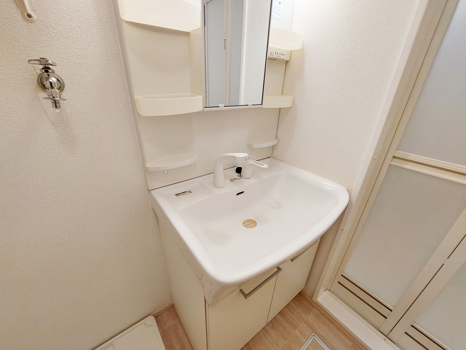 シャンプードレッサー