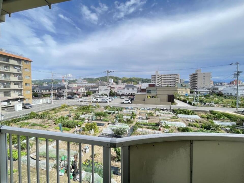 背景