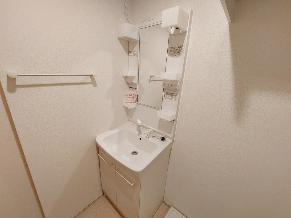 シャンプードレッサー