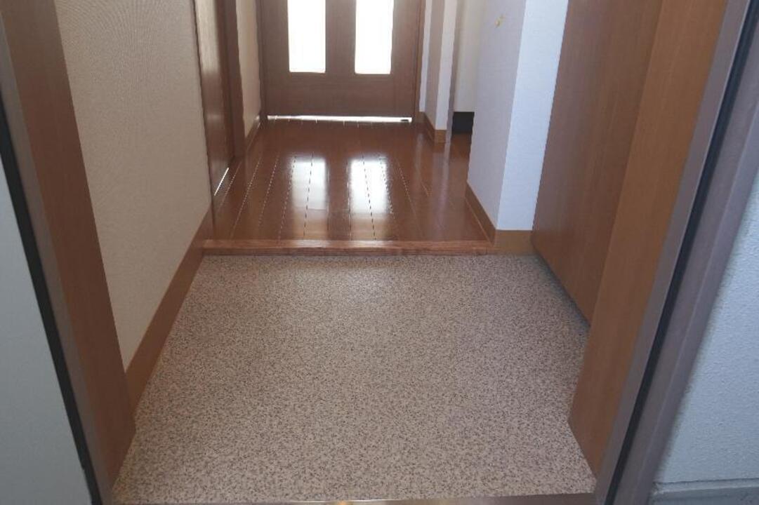 シャンプードレッサー