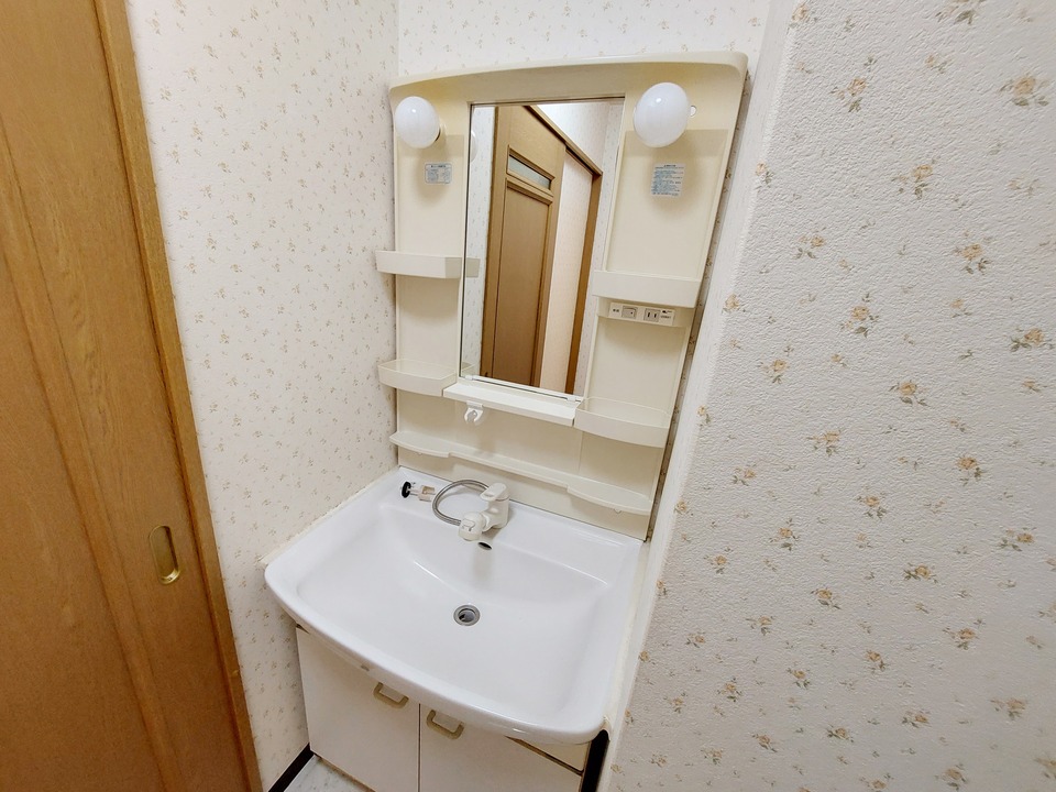 シャンプードレッサー