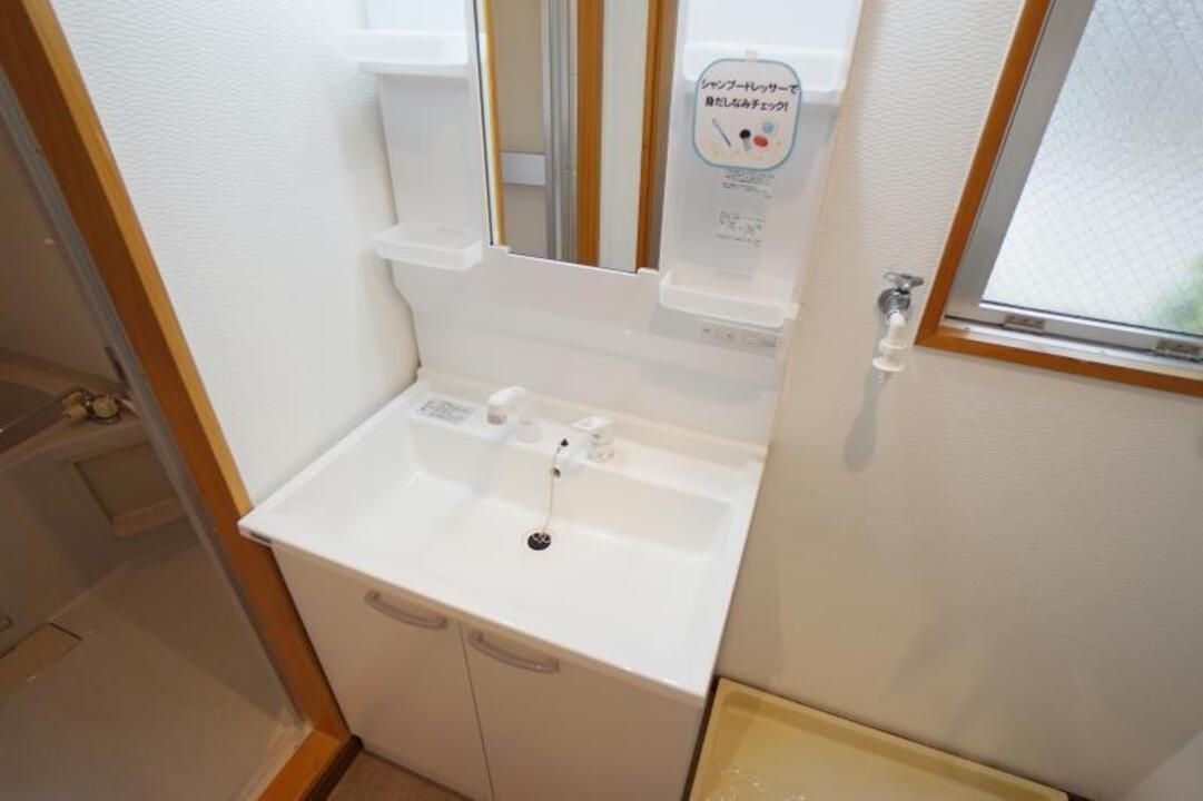 シャンプードレッサー