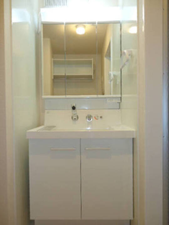 シャンプードレッサー