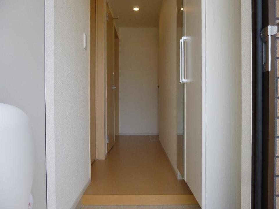 シャンプードレッサー