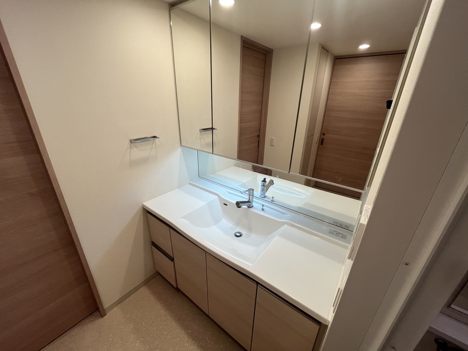 シャワー付洗面化粧台