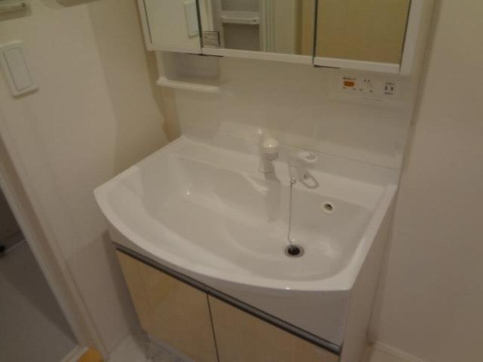 シャンプードレッサー