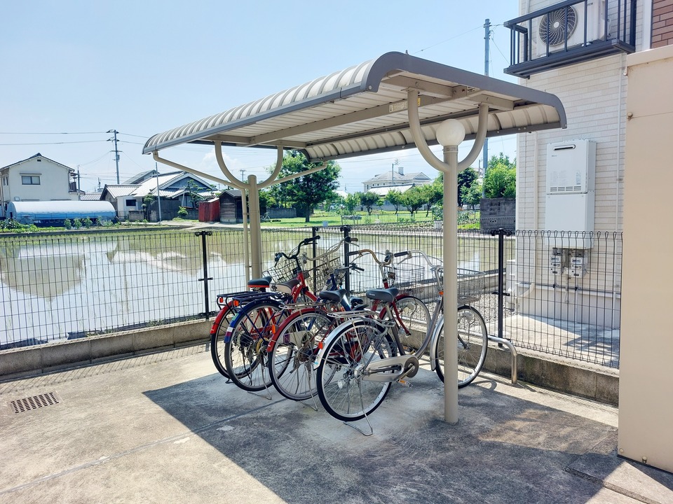 シャンプードレッサー