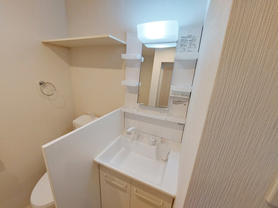 シャンプードレッサー