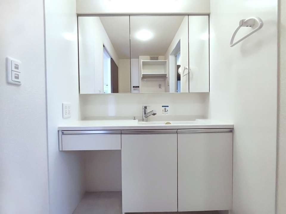 シャワー付洗面化粧台