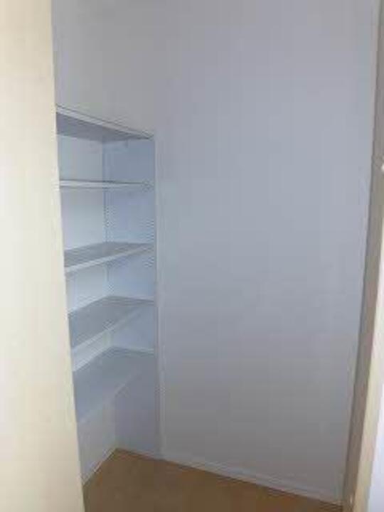 棚
